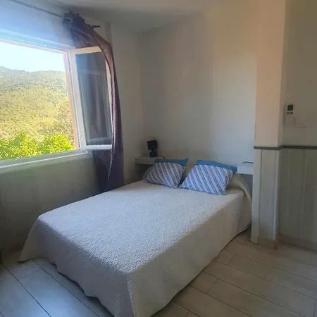 Chez Aldo * Ajaccio (Corsica)