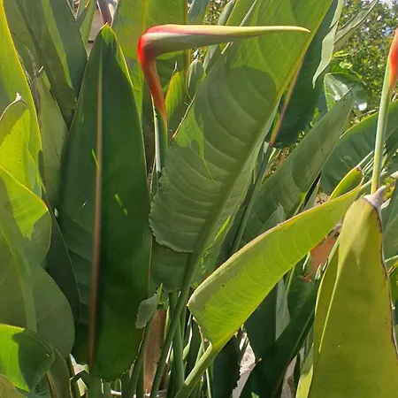 Hébergement de vacances Chez Aldo