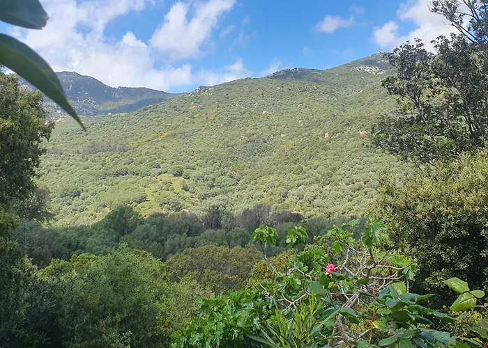 Chez Aldo Ajaccio (Corsica)